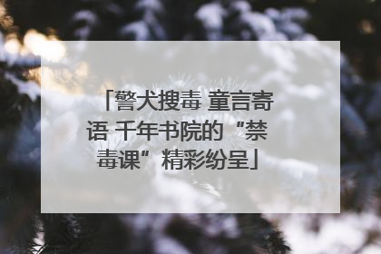 警犬搜毒 童言寄语 千年书院的“禁毒课”精彩纷呈