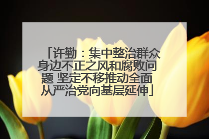 许勤：集中整治群众身边不正之风和腐败问题 坚定不移推动全面从严治党向基层延伸