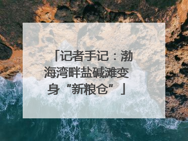 记者手记：渤海湾畔盐碱滩变身“新粮仓”