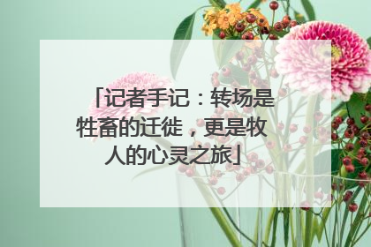 记者手记：转场是牲畜的迁徙，更是牧人的心灵之旅
