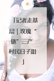 记者走基层｜玫瑰“链”三产 村民日子甜