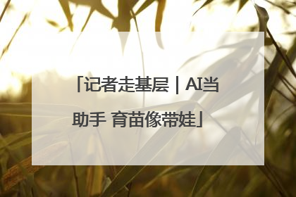 记者走基层｜AI当助手 育苗像带娃