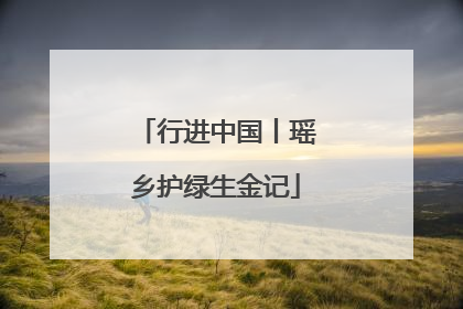 行进中国丨瑶乡护绿生金记