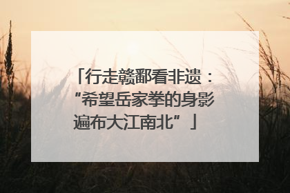 行走赣鄱看非遗：“希望岳家拳的身影遍布大江南北”