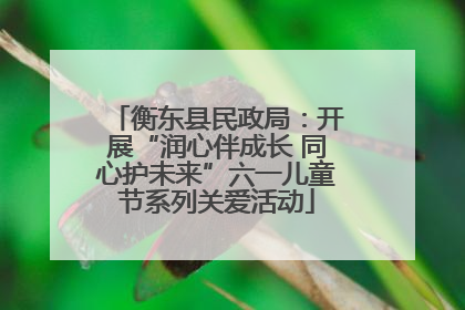 衡东县民政局：开展“润心伴成长 同心护未来”六一儿童节系列关爱活动