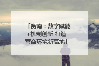 衡南：数字赋能+机制创新 打造营商环境新高地