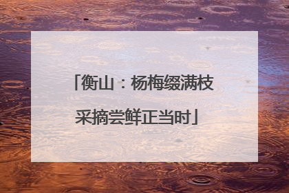 衡山：杨梅缀满枝 采摘尝鲜正当时