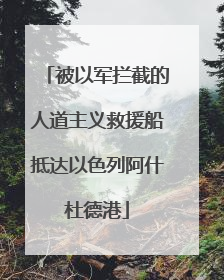 被以军拦截的人道主义救援船抵达以色列阿什杜德港