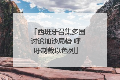 西班牙召集多国讨论加沙局势 呼吁制裁以色列