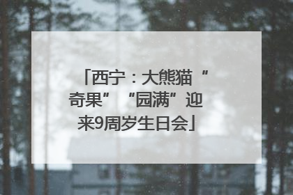 西宁：大熊猫“奇果”“园满”迎来9周岁生日会