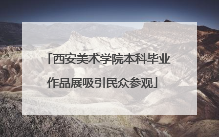 西安美术学院本科毕业作品展吸引民众参观