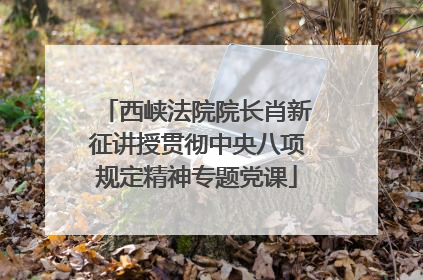 西峡法院院长肖新征讲授贯彻中央八项规定精神专题党课