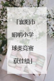 襄阳市昭明小学球类竞赛获佳绩