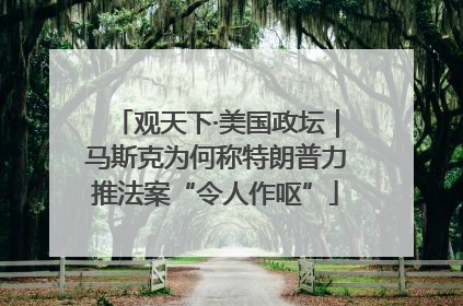 观天下·美国政坛｜马斯克为何称特朗普力推法案“令人作呕”