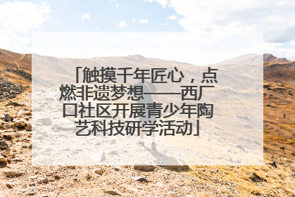 触摸千年匠心，点燃非遗梦想——西厂口社区开展青少年陶艺科技研学活动