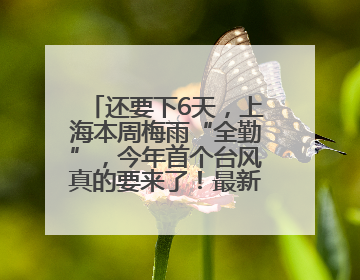还要下6天，上海本周梅雨“全勤”，今年首个台风真的要来了！最新研判→