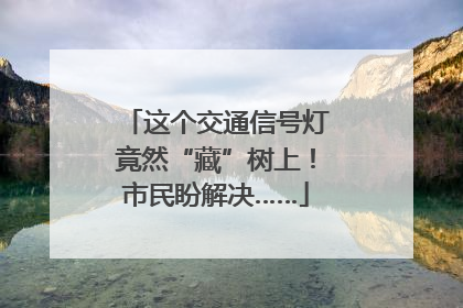 这个交通信号灯竟然“藏”树上！市民盼解决……
