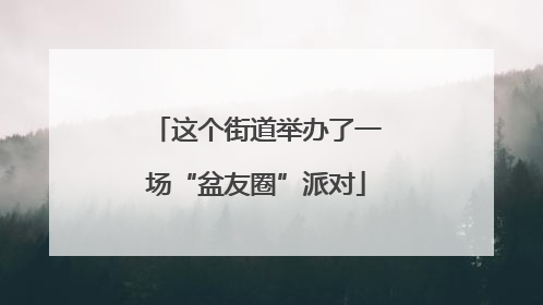 这个街道举办了一场“盆友圈”派对
