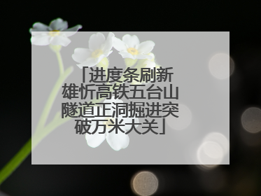 进度条刷新 雄忻高铁五台山隧道正洞掘进突破万米大关
