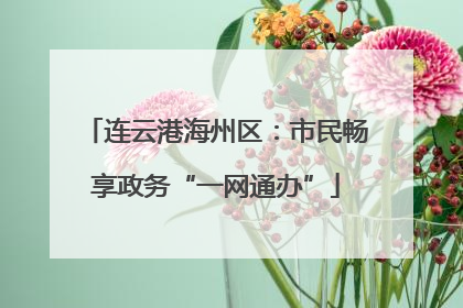 连云港海州区：市民畅享政务“一网通办”