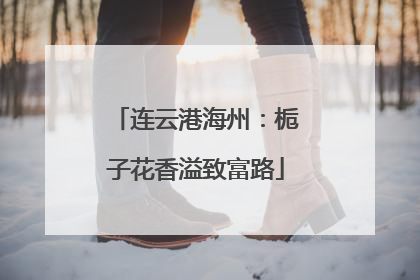 连云港海州：栀子花香溢致富路