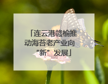 连云港赣榆推动海苔老产业向“新”发展