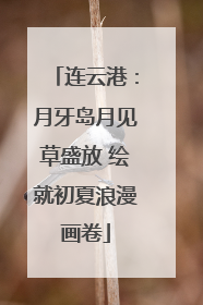 连云港：月牙岛月见草盛放 绘就初夏浪漫画卷