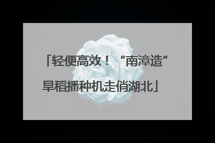 轻便高效！“南漳造”旱稻播种机走俏湖北