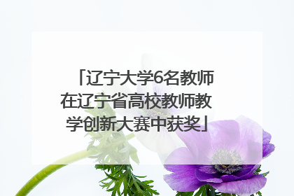 辽宁大学6名教师在辽宁省高校教师教学创新大赛中获奖