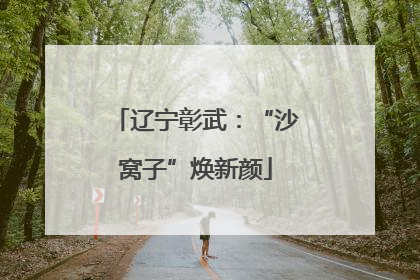 辽宁彰武：“沙窝子”焕新颜