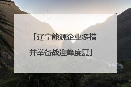 辽宁能源企业多措并举备战迎峰度夏
