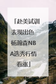 赴美试训表现出色 杨瀚森NBA选秀行情看涨