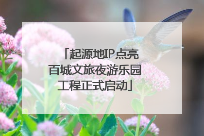 起源地IP点亮百城文旅夜游乐园工程正式启动
