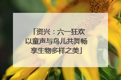 资兴：六一狂欢 以童声与鸟儿共舞畅享生物多样之美