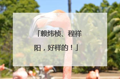 赖炜桢、程祥阳，好样的！