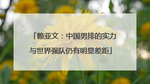 赖亚文：中国男排的实力与世界强队仍有明显差距