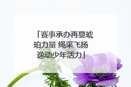 赛事承办再显琥珀力量 绳采飞扬逸动少年活力