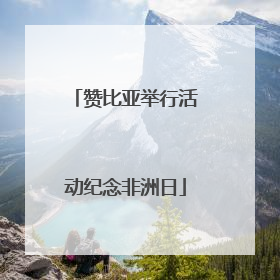 赞比亚举行活动纪念非洲日