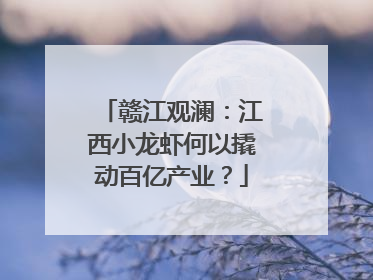 赣江观澜：江西小龙虾何以撬动百亿产业？