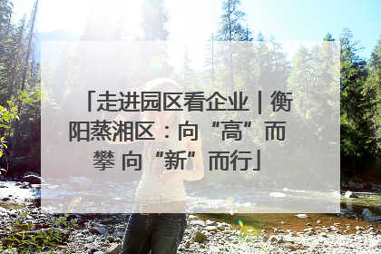 走进园区看企业｜衡阳蒸湘区：向“高”而攀 向“新”而行