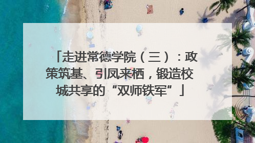 走进常德学院（三）：政策筑基、引凤来栖，锻造校城共享的“双师铁军”