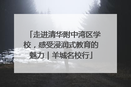 走进清华附中湾区学校，感受浸润式教育的魅力｜羊城名校行
