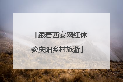 跟着西安网红体验庆阳乡村旅游