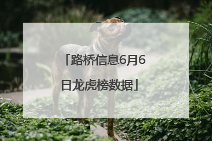 路桥信息6月6日龙虎榜数据