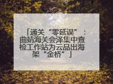 通关“零延误”：曲靖海关会泽集中查检工作站为云品出海架“金桥”