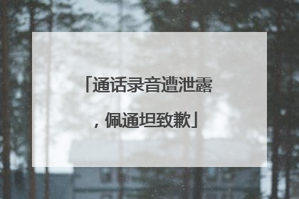 通话录音遭泄露，佩通坦致歉