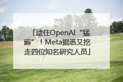 逮住OpenAI“猛薅”！Meta据悉又挖走四位知名研究人员