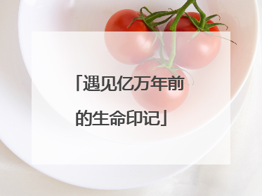 遇见亿万年前的生命印记