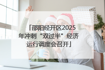 邵阳经开区2025年冲刺“双过半”经济运行调度会召开