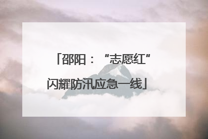邵阳：“志愿红”闪耀防汛应急一线